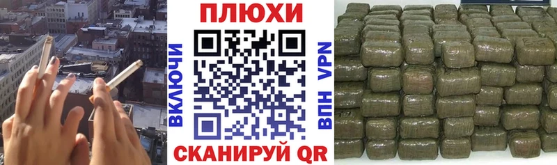 дарнет шоп  Светлогорск  Гашиш Premium 