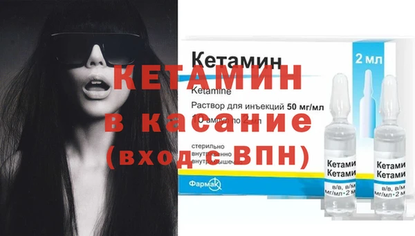 шишки Аркадак