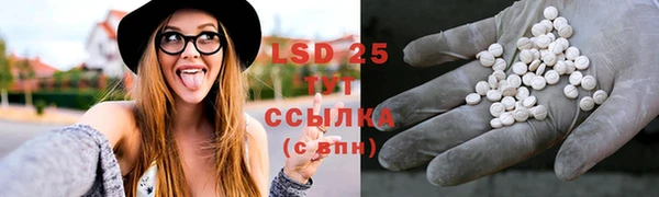 прущие грибы Арсеньев