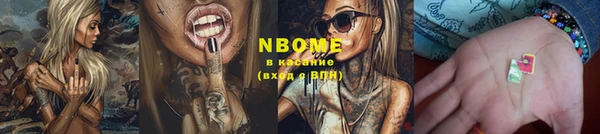 шишки Аркадак