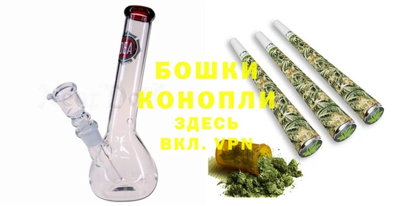 прущие грибы Арсеньев