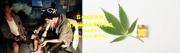 прущие грибы Арсеньев