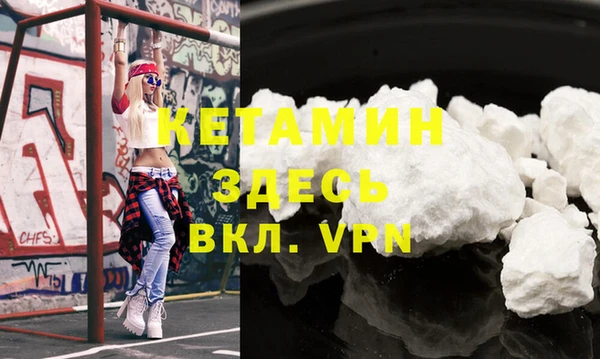 шишки Аркадак