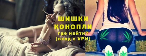 шишки Аркадак