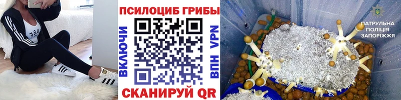 Галлюциногенные грибы мухоморы  Светлогорск 