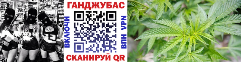 Шишки марихуана марихуана  hydra зеркало  Светлогорск 